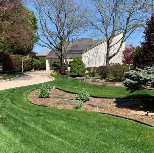 Urban Effects Lawn Care