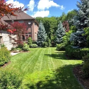 Urban Effects Lawn Care
