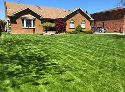 Urban Effects Lawn Care