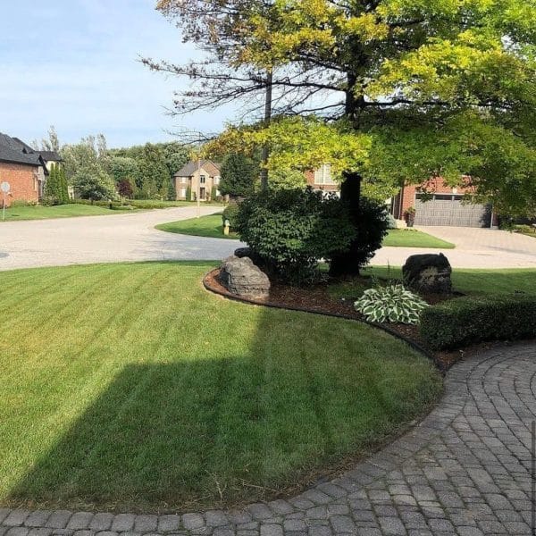 Urban Effects Lawn Care