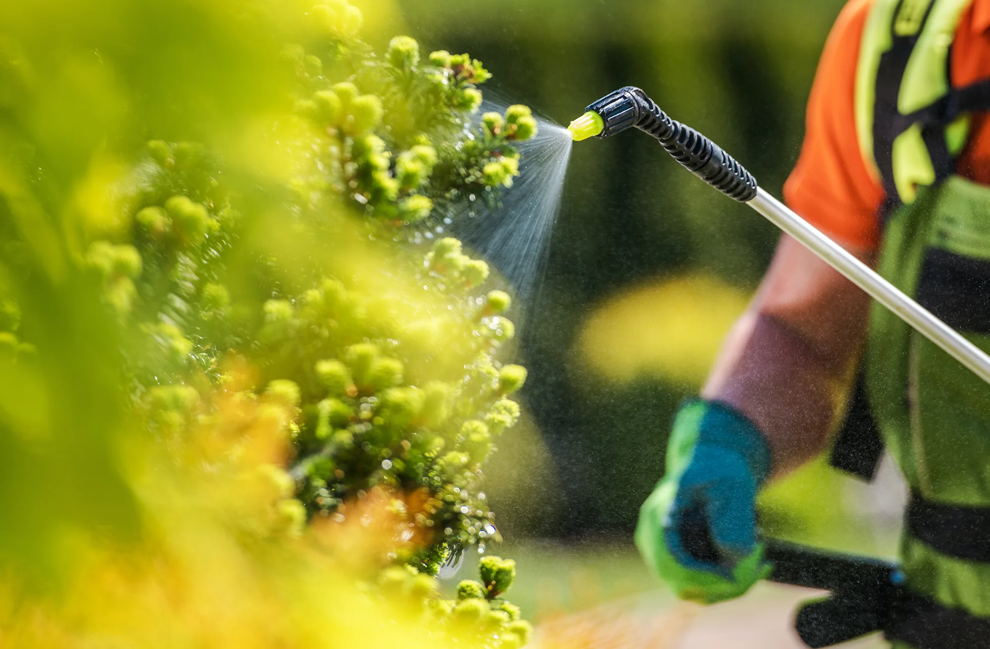 Chemical Fertilizers on Your Lawn