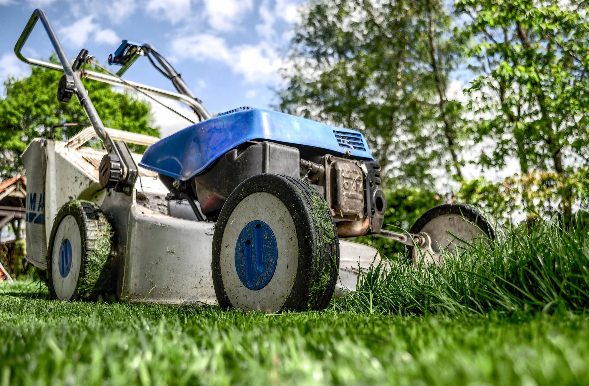 Summer Lawn Care Tips