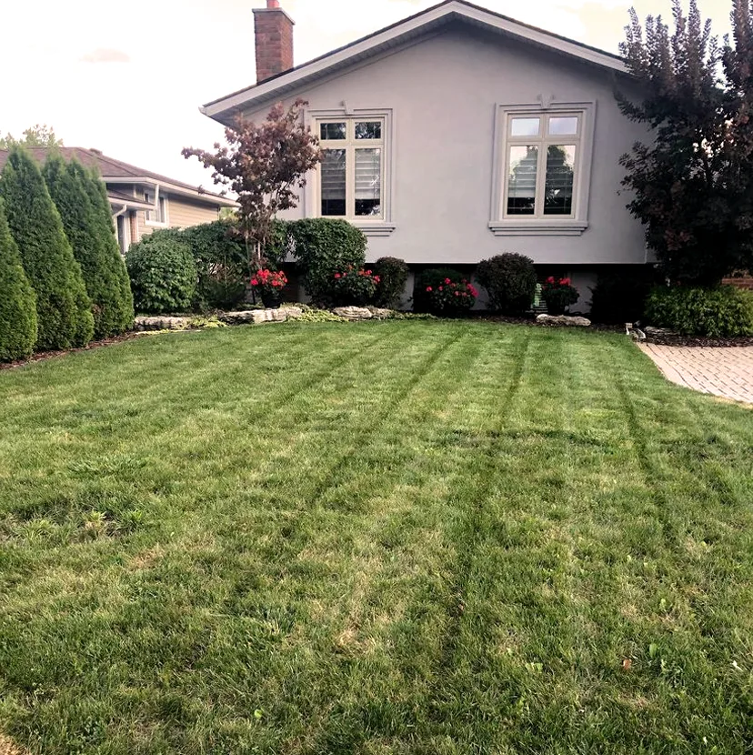 Urban Effects Lawn Care