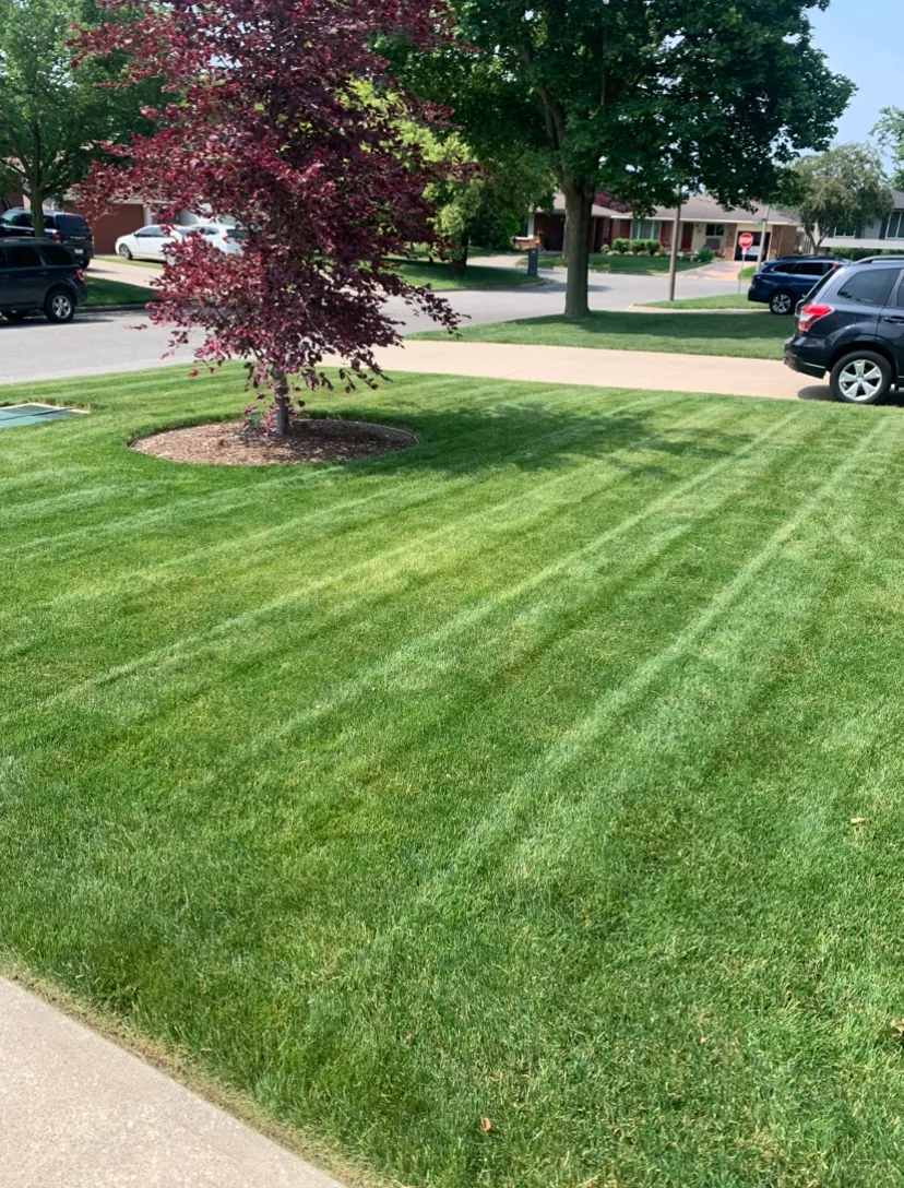 Urban Effects Lawn Care