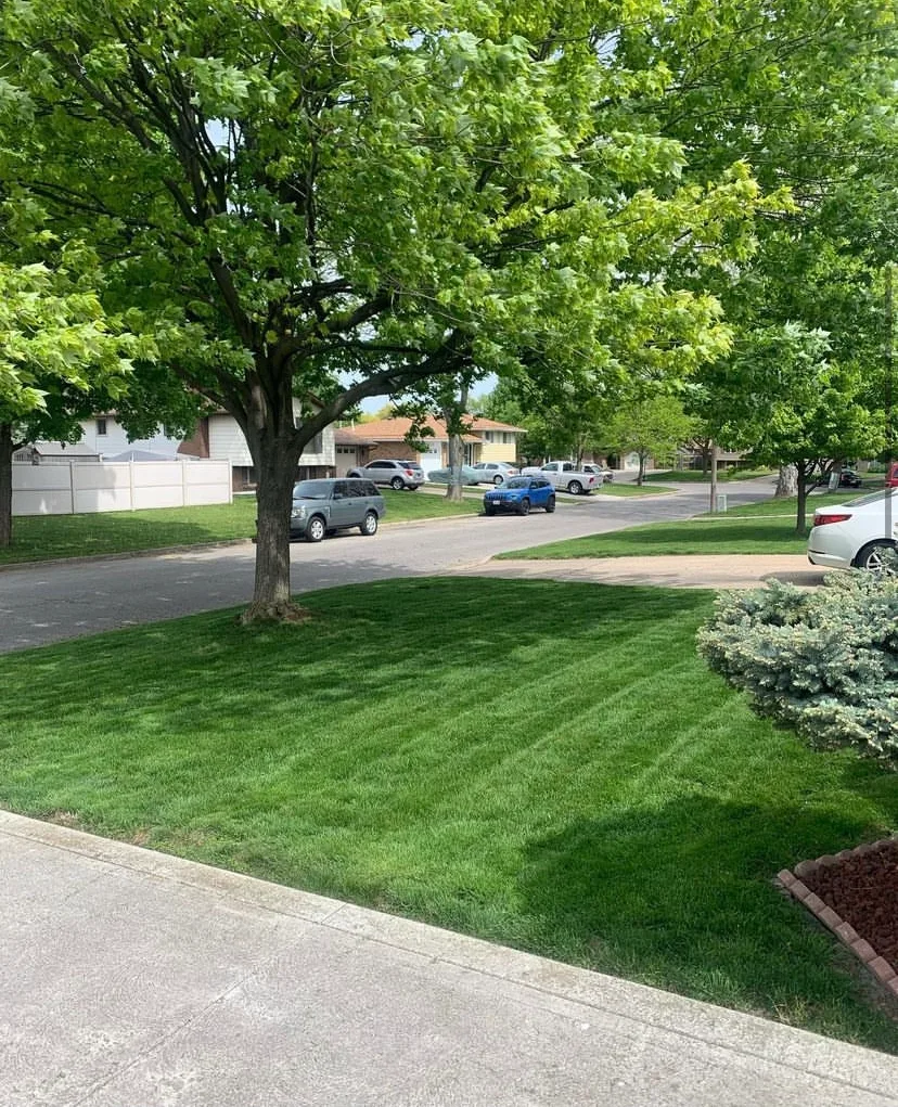 Urban Effects Lawn Care