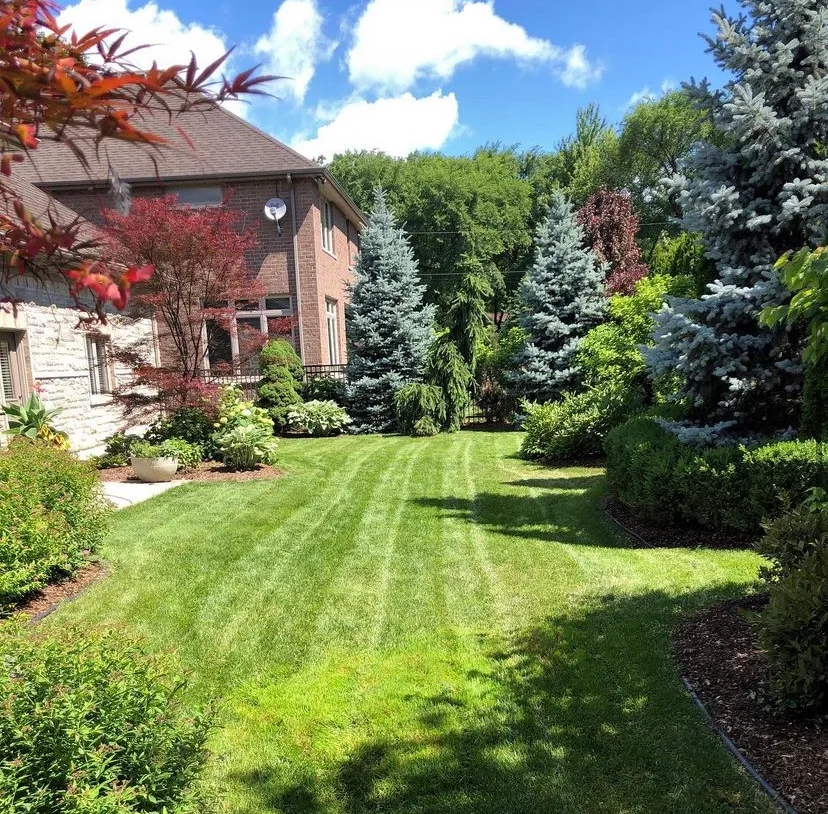 Urban Effects Lawn Care