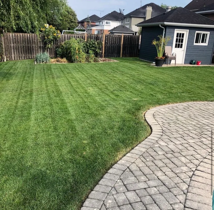 Urban Effects Lawn Care