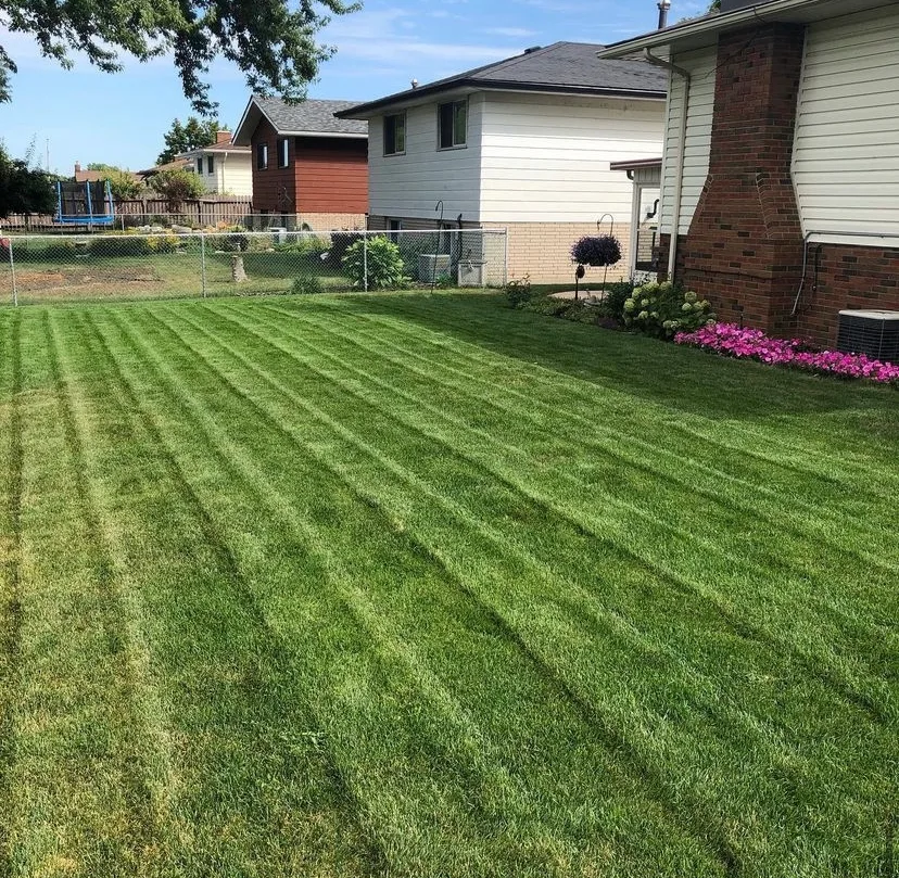 Urban Effects Lawn Care